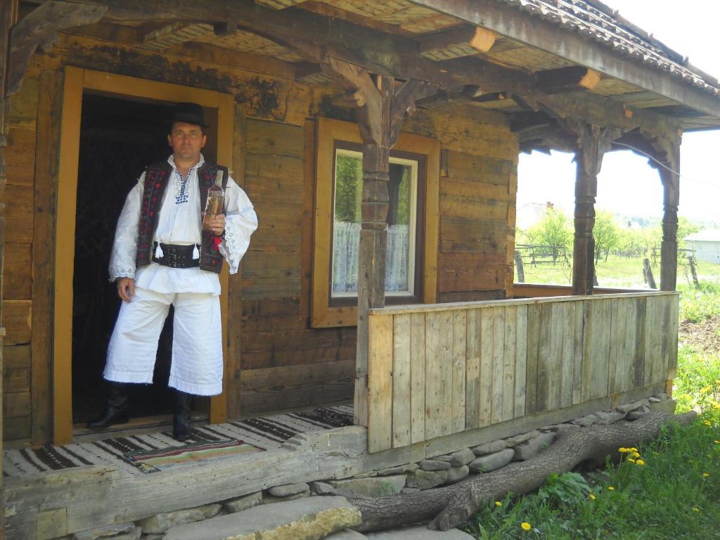 Pensiunea Ilea Ieud Luaran gambar