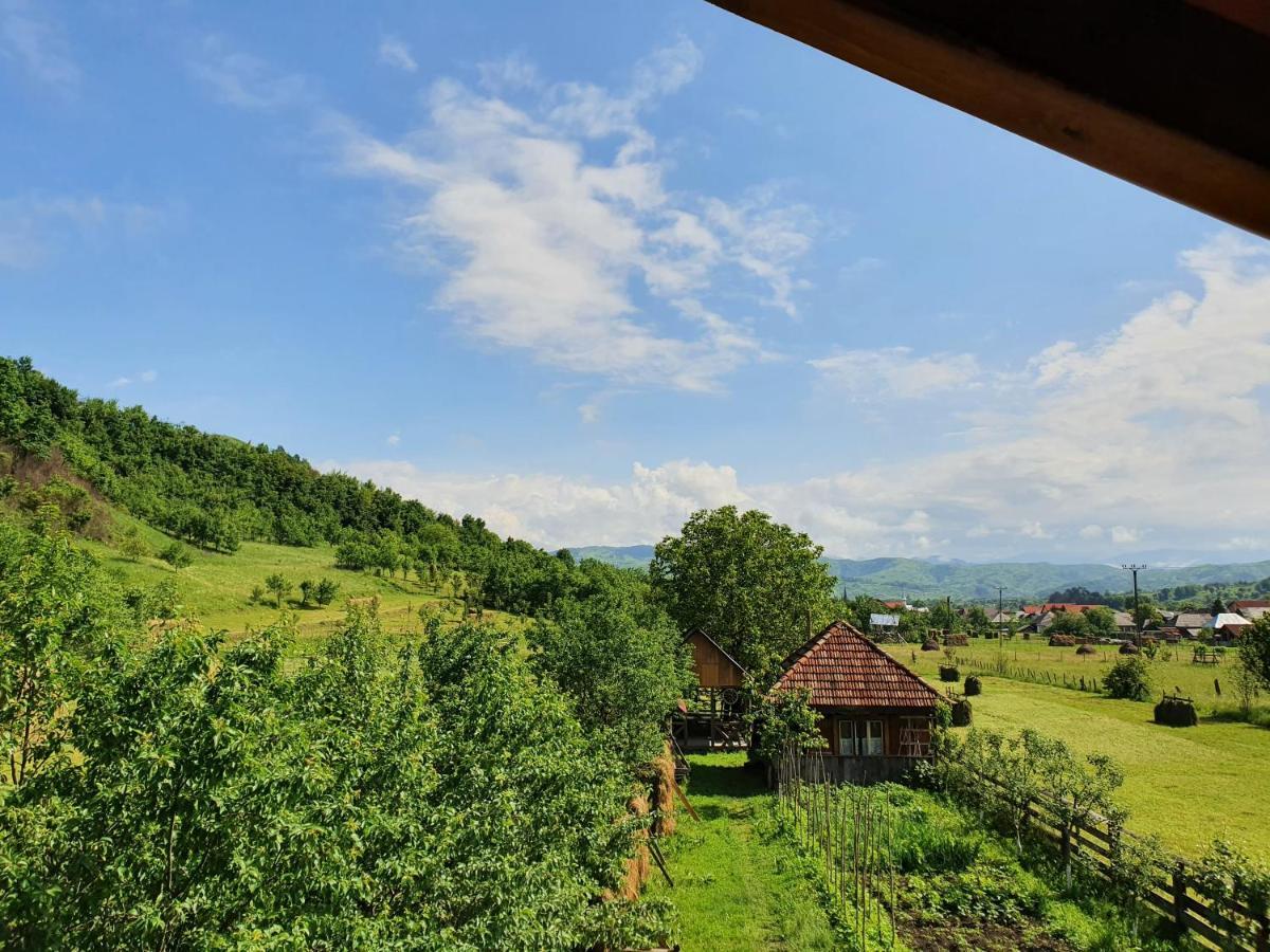 Pensiunea Ilea Ieud Luaran gambar